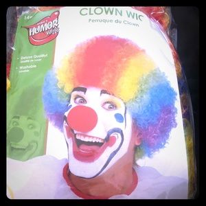 Forum novelties.  Men’s jumbo rainbow clown wig
